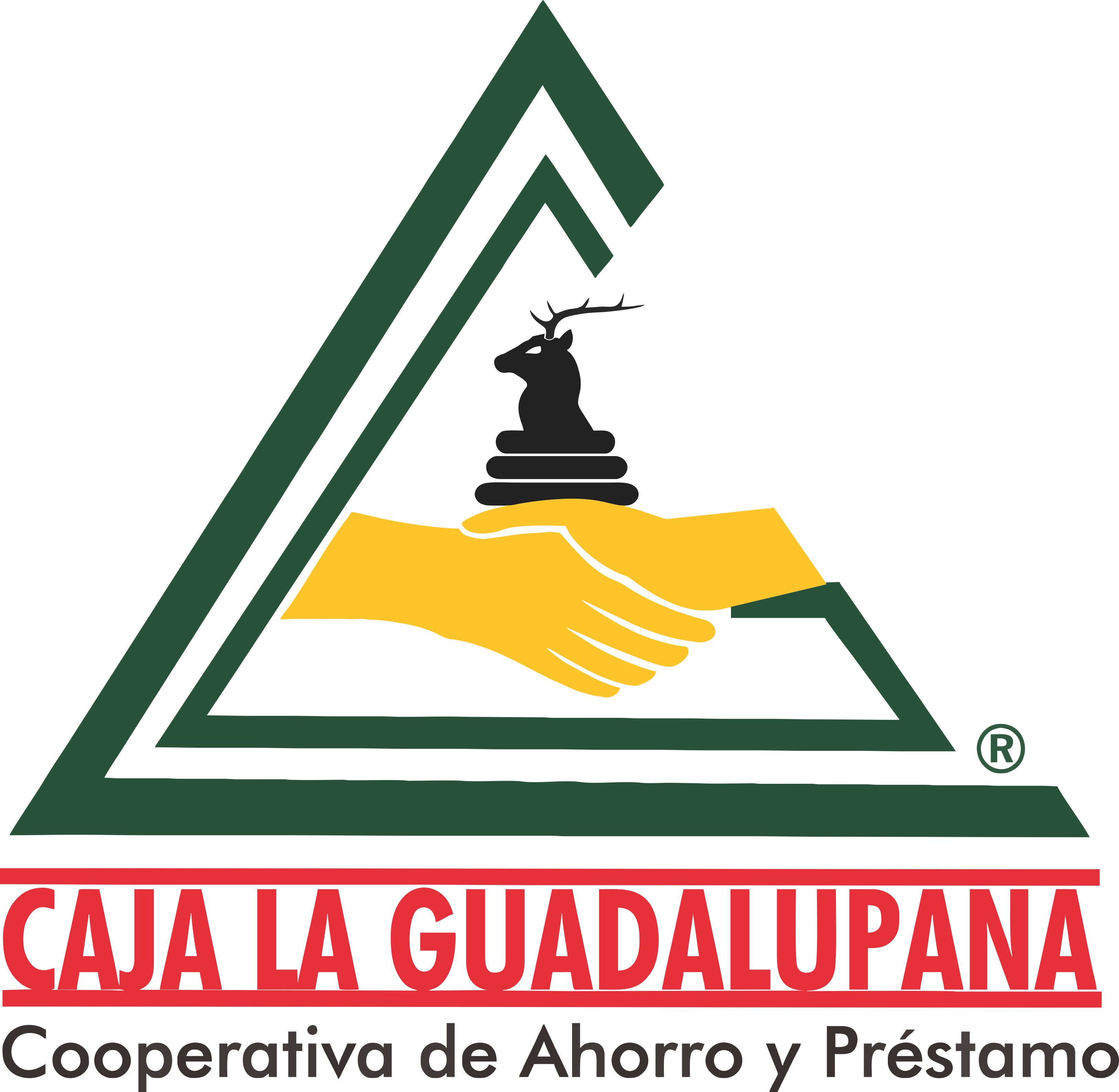 CajaLaGuadalupana